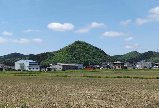井ノ山の全景